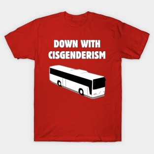 Down With Cisgenderism T-Shirt